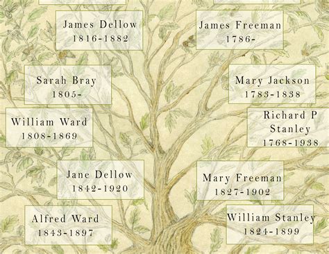 mngxongo family tree|MONG Genealogy .